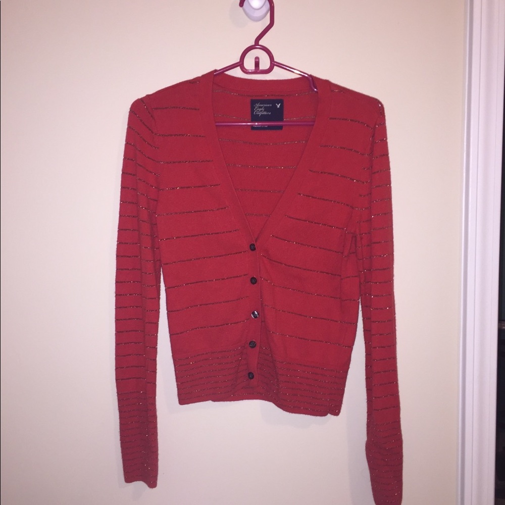 American Eagle Cardigan